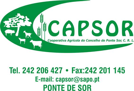 Descrio: logotipo capsor